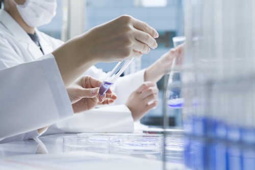 microfood-test